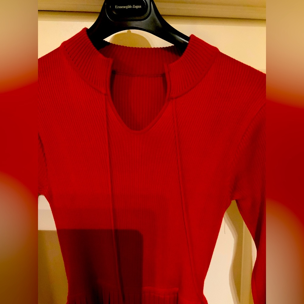 Custom Red Knit pleated vintage dress